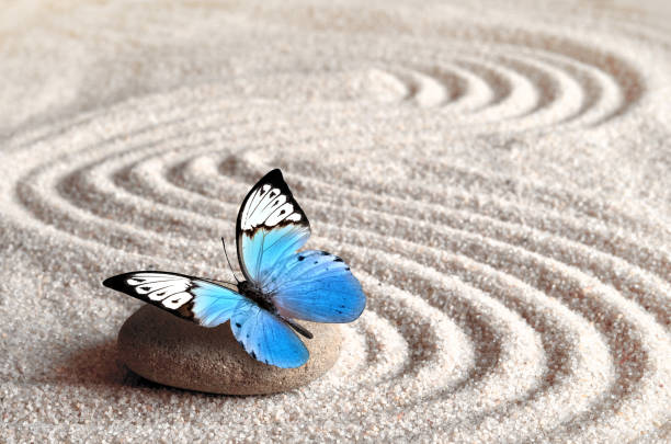 istock Sand, blue butterfly and spa stone in zen garden. Spa concept. 1051364724
