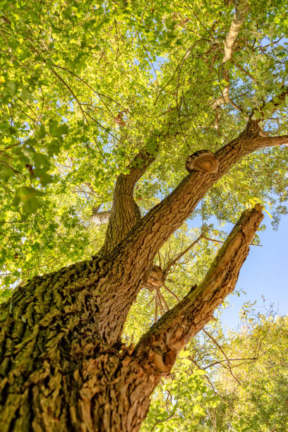 istock Ricklinger Kiesteiche in Hannover Lower Saxony 1051368674