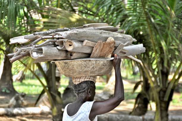 Female delivering food at agricultural field