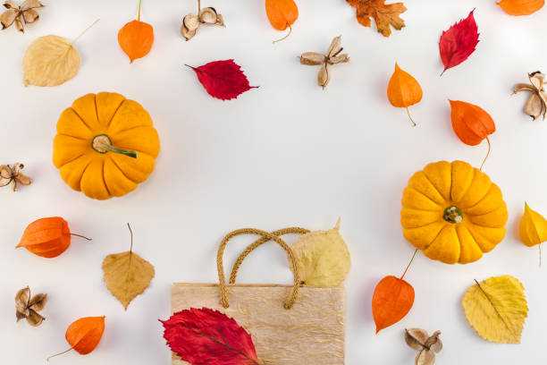 istock Promotion template autumn fall thanksgiving sale 1051370268