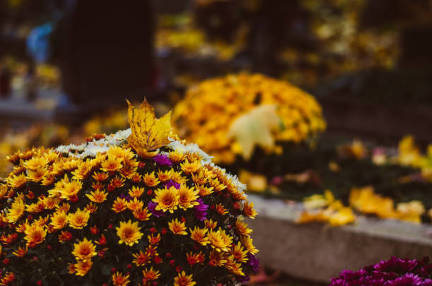 istock All Saints Day in cemetery 1051372398