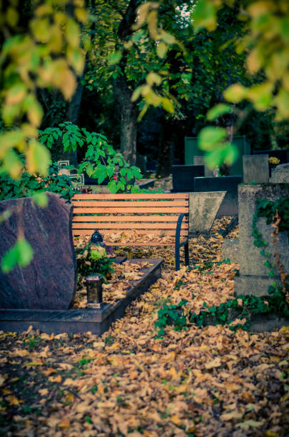bank in cemetery covered by leaves in autumnal time