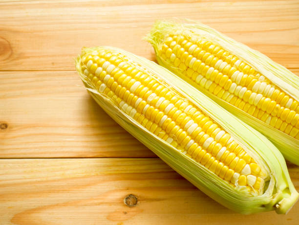 istock Ears of bicolor sweet corn 1051375628
