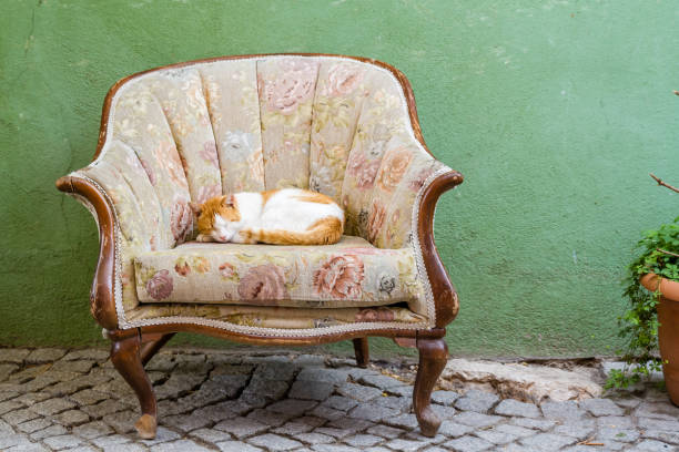 Ginger cat sleeping on sofa chair in front of a house