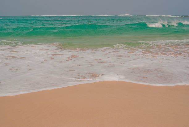 bautiful ビーチ - south africa coastline sea wave ストックフォトと画像