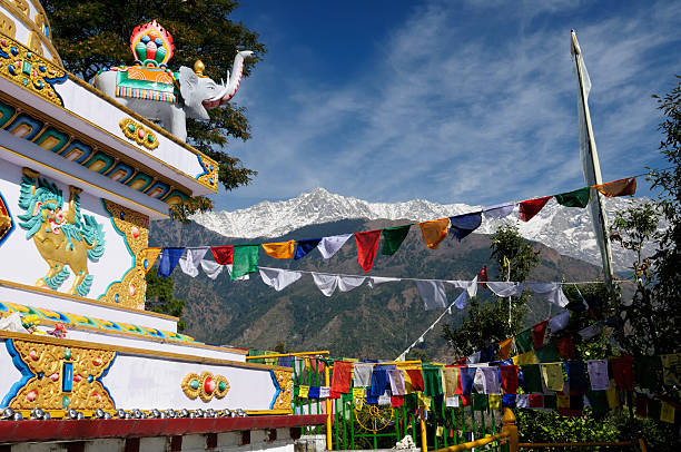 1,400+ Dharamsala Stock Photos, Pictures & Royalty-Free Images - iStock | Dalai lama, India, Tibetan