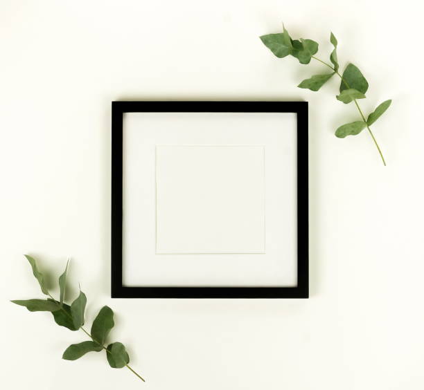 istock photo frame mock up and eucalyptus branches on white background. Flat lay, top view, , copy space square. 1051384126