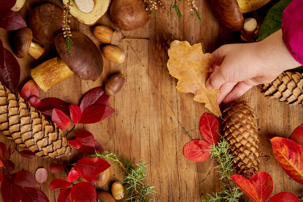 istock childish hand with a leaf over a wooden table with autumnal decoration 1051386366