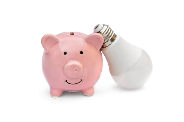 istock Piggy bank with light bulb on white. Saving energy. 1051386394
