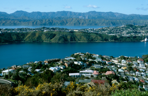 panoramic view at the residential areas of Wellington, New Zealand