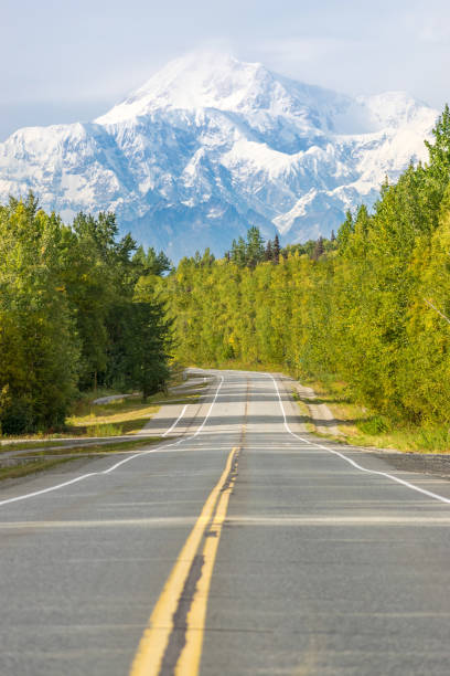 istock Empty road with mount Denali (mckinley) in the background, Alaska 1051405864