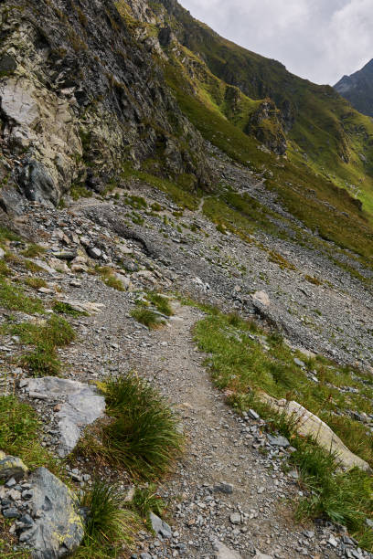 istock Rocky mountain landscape in the summer 1051407004