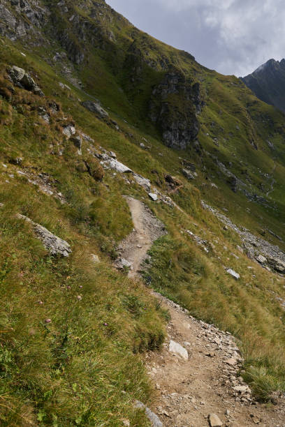 istock Rocky mountain landscape in the summer 1051407020