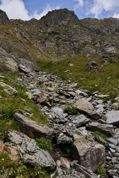 istock Rocky mountain landscape in the summer 1051407026