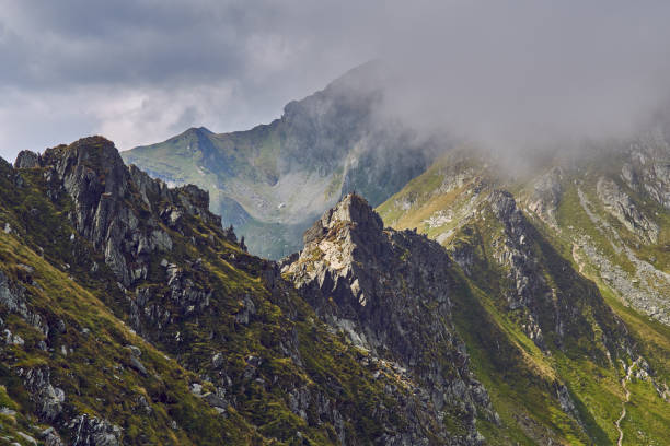 istock Rocky mountain landscape in the summer 1051409542
