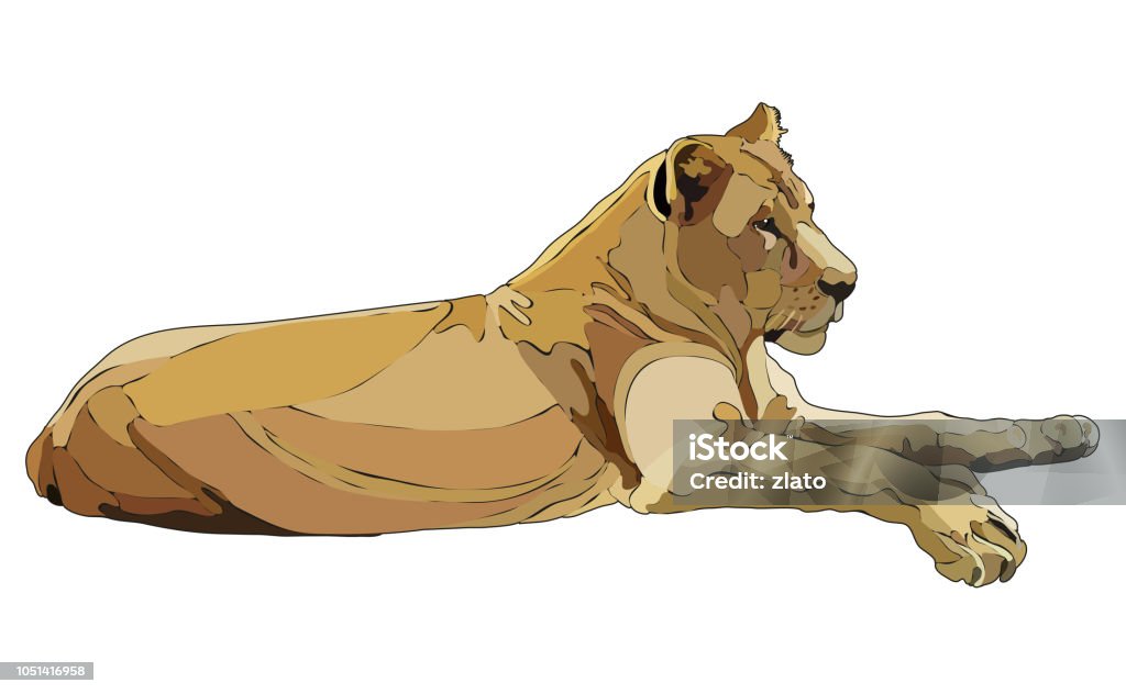 Realistic lioness in vector Realistic lying lioness. Vector illustration, EPS 10 Lioness - Feline stock vector