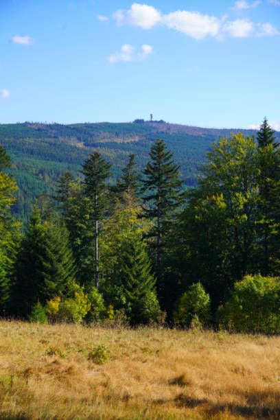 Distant view of lookout tower Polednik in Sumava National park popular hiking destination meridian mississippi stock pictures, royalty-free photos & images