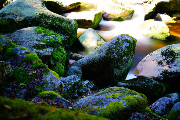 Vydra river flows in deep valley in Sumava