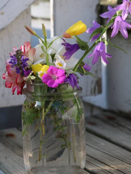 istock Garden bouquet in canning jar 1051421510