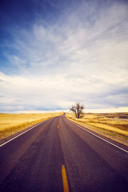 istock Lonely tree by a road, travel concept, USA. 1051424452
