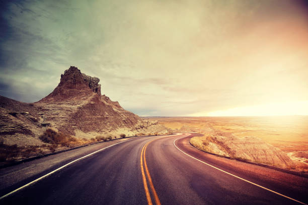 istock Lonely tree by a road, travel concept, USA. 1051424624