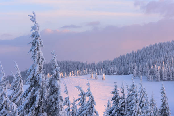 istock Christmas landscape in the winter mountains at sunset 1051431730