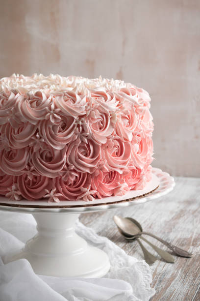 istock Pink Ombre Rose Cake. 1051435808