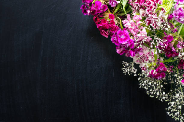 istock Small delicate pink, purple, lilac and white flowers angle frame on a black chalkboard background. Summer spring bright floral diagonal frame, background with copy space, top view 1051442062