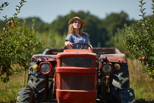 Young farmer woman driving her tractor and trailer through apple orchard