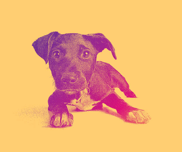 terrier mixed-rasse welpen hoffen angenommen werden - mixed breed dog illustrations stock-grafiken, -clipart, -cartoons und -symbole