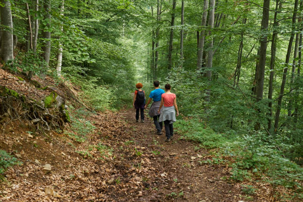 istock People hiking into the forest 1051450374