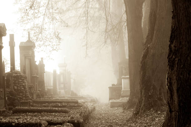 istock Fog in old cemetery, black and white, background with copy space 1051453230