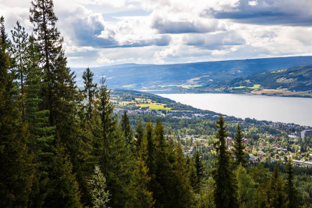 landscape in norway - scandic imagens e fotografias de stock