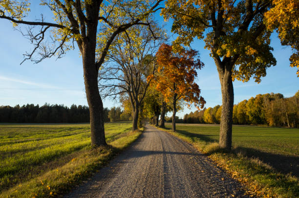 istock Beautiful autumn day in Sweden Scandinavia 1051456884