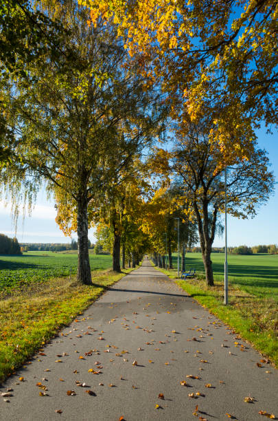 istock Beautiful autumn day in Sweden Scandinavia 1051457320