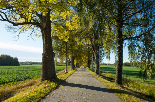 istock Beautiful autumn day in Sweden Scandinavia 1051457344