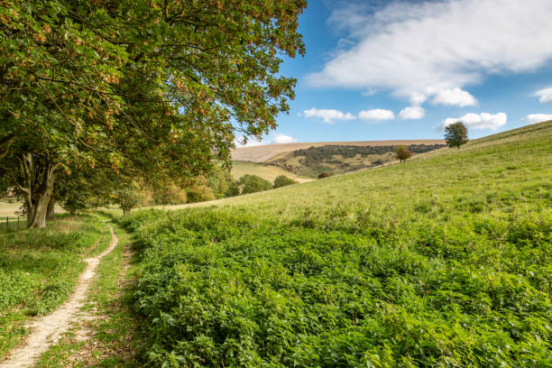 istock Green Sussex Landscape 1051459810