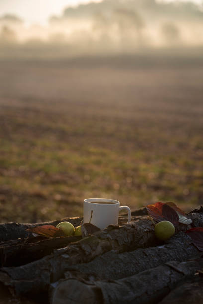 istock Morning hot cup of coffee in nature 1051460512