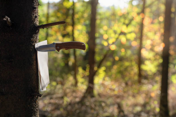 istock Book pages stuck into a tree with a knife 1051460594