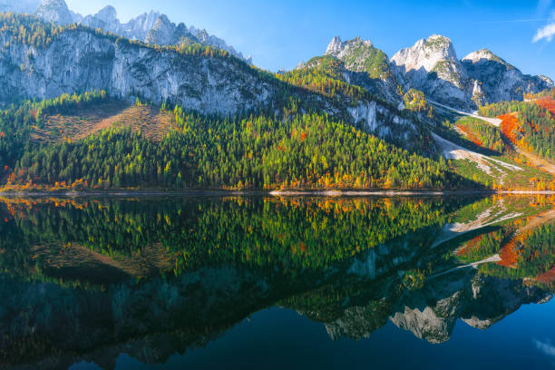 Beautiful view of idyllic colorful autumn scenery with Dachstein mountain summit reflecting in crystal clear Gosausee mountain lake in fall. Salzkammergut region Upper Austria