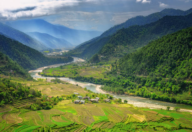 Bhutan valley and rice farms Valley in Bhutan near Punakha with rice fields and typical houses. Travel to Bhutan and enjoy the beautiful landscape of farms and mountains in this buddhist country. tibet stock pictures, royalty-free photos & images