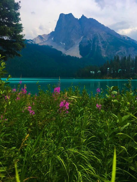 istock Landscapes from Banff National Park 1051466340