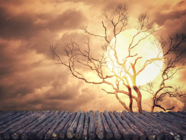 istock Old wood board made of logs for placing objects and the background image is slightly blurry in dark and scary tones. Concept for display montage your product design during the Halloween season. 1051479366