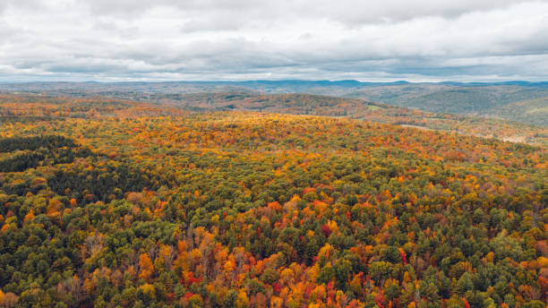istock Aerial view Catskill Mountain New York 1051481586