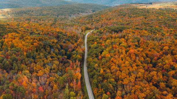 istock Aerial Road Trip in Catskill Mountain New York 1051481608
