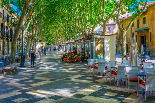 PALMA DE MALLORCA, SPAIN, MAY 18, 2017: People are strolling through Passeig del Born in the historical center of Palma de Mallorca, Spain