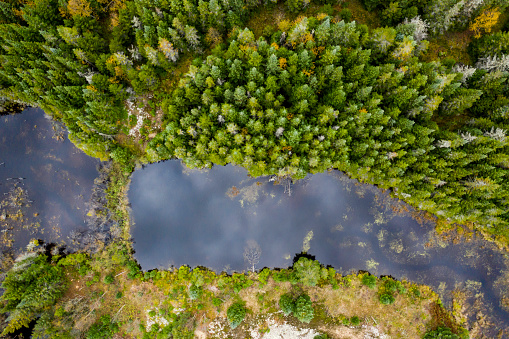 Aerial View of Boreal Forest Nature and River in Autumn Season, Quebec, Canada