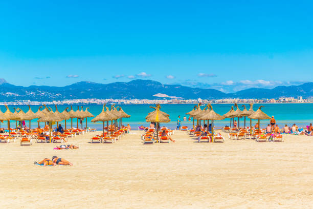 palma de mallorca, spanien, 19. mai 2017: strand der playa de palma in palma de mallorca, spanien - ochre sea star stock-fotos und bilder