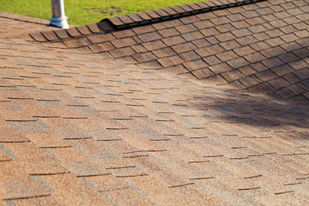 istock Roof Shingles with Ridge Vent and Chimney 1051510318