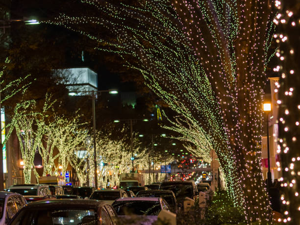 istock Cristmas Illumination in the City 1051510424